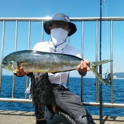 初投稿、シイラ1mバラシ70㎝ゲット